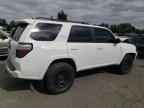 2023 TOYOTA 4Runner