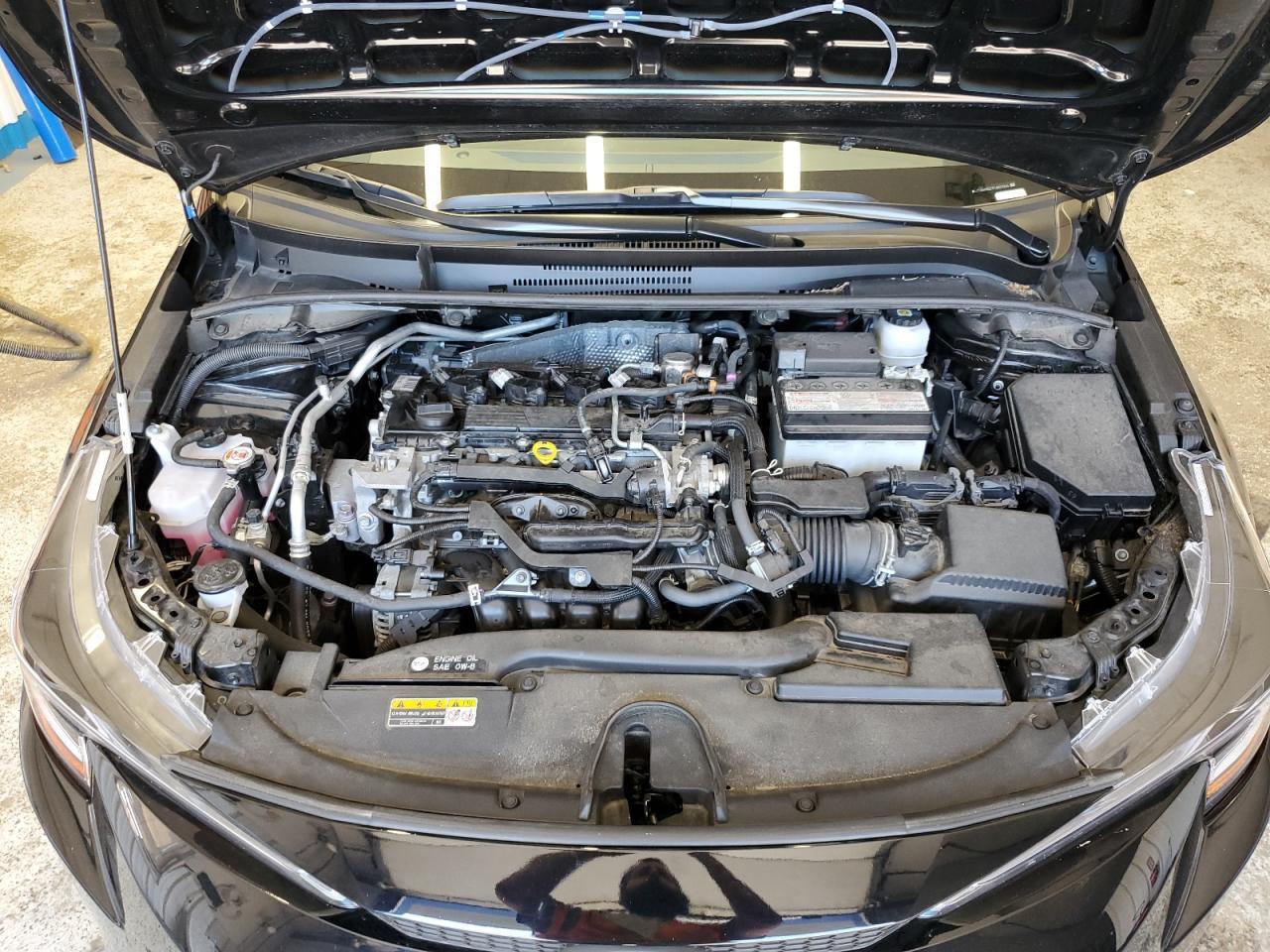 2023 TOYOTA COROLLA