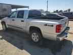 2005 DODGE Dakota