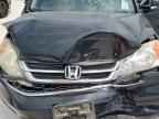 2010 HONDA CR-V