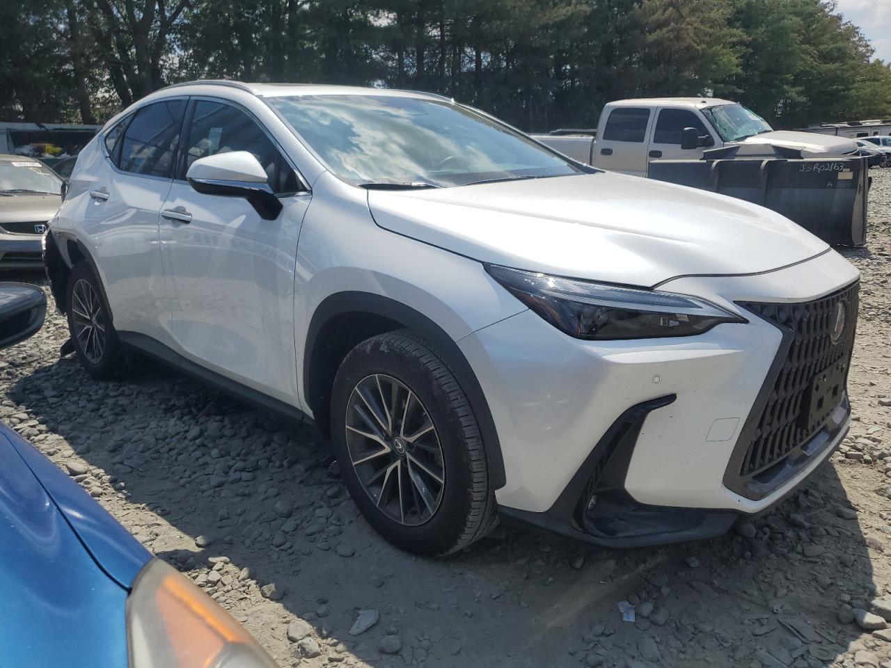 2024 LEXUS Nx