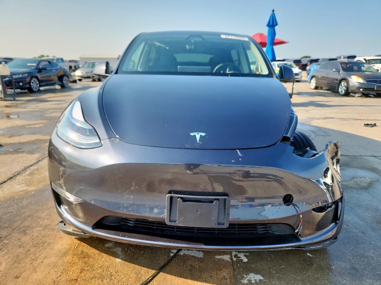 2025 TESLA MODEL Y