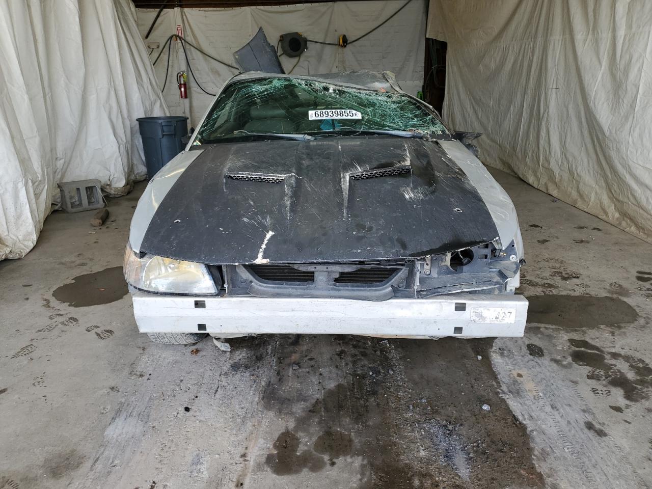 1999 FORD MUSTANG