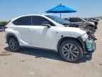2021 LEXUS Nx