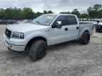 2004 FORD F-150