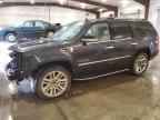 2013 CADILLAC ESCALADE