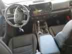 2025 NISSAN Frontier