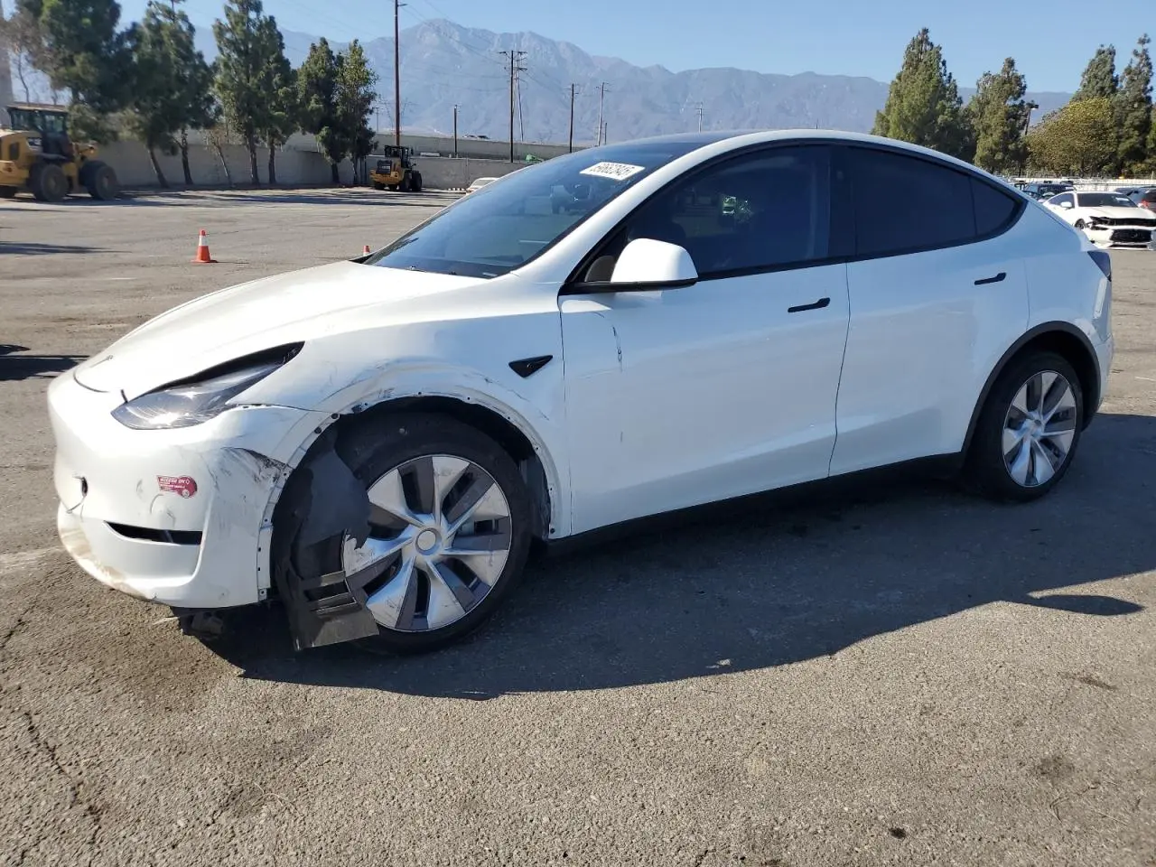 2024 TESLA MODEL Y