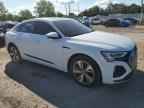 2024 AUDI Q8