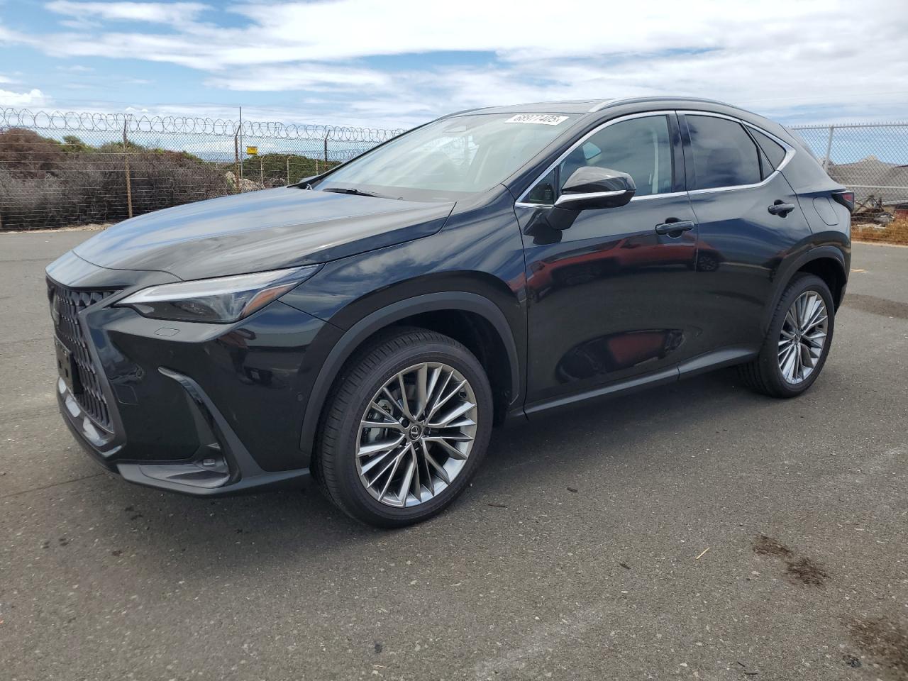 2025 LEXUS Nx