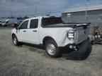 2025 FORD Maverick