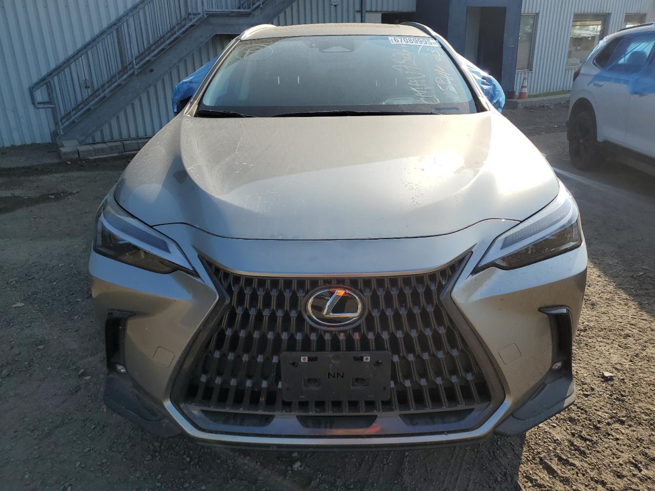 2024 LEXUS Nx