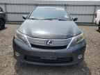 2011 LEXUS HS 250h