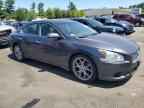 2010 NISSAN Maxima