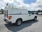 2009 FORD F-150