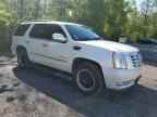 2009 CADILLAC ESCALADE