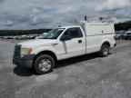 2009 FORD F-150