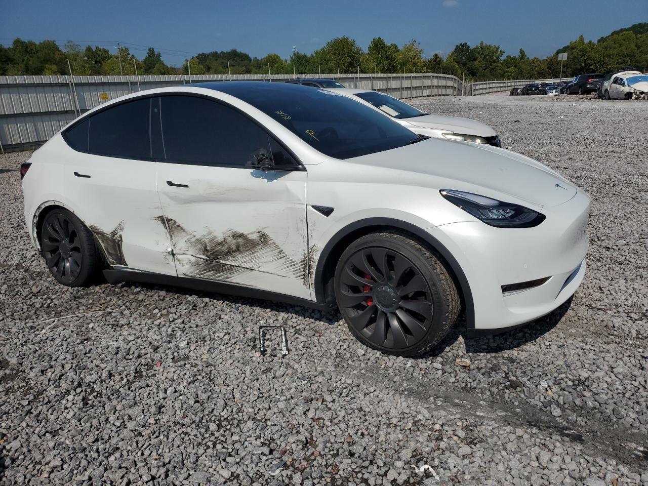 2020 TESLA MODEL Y
