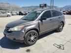 2010 HONDA CR-V