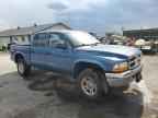 2003 DODGE Dakota