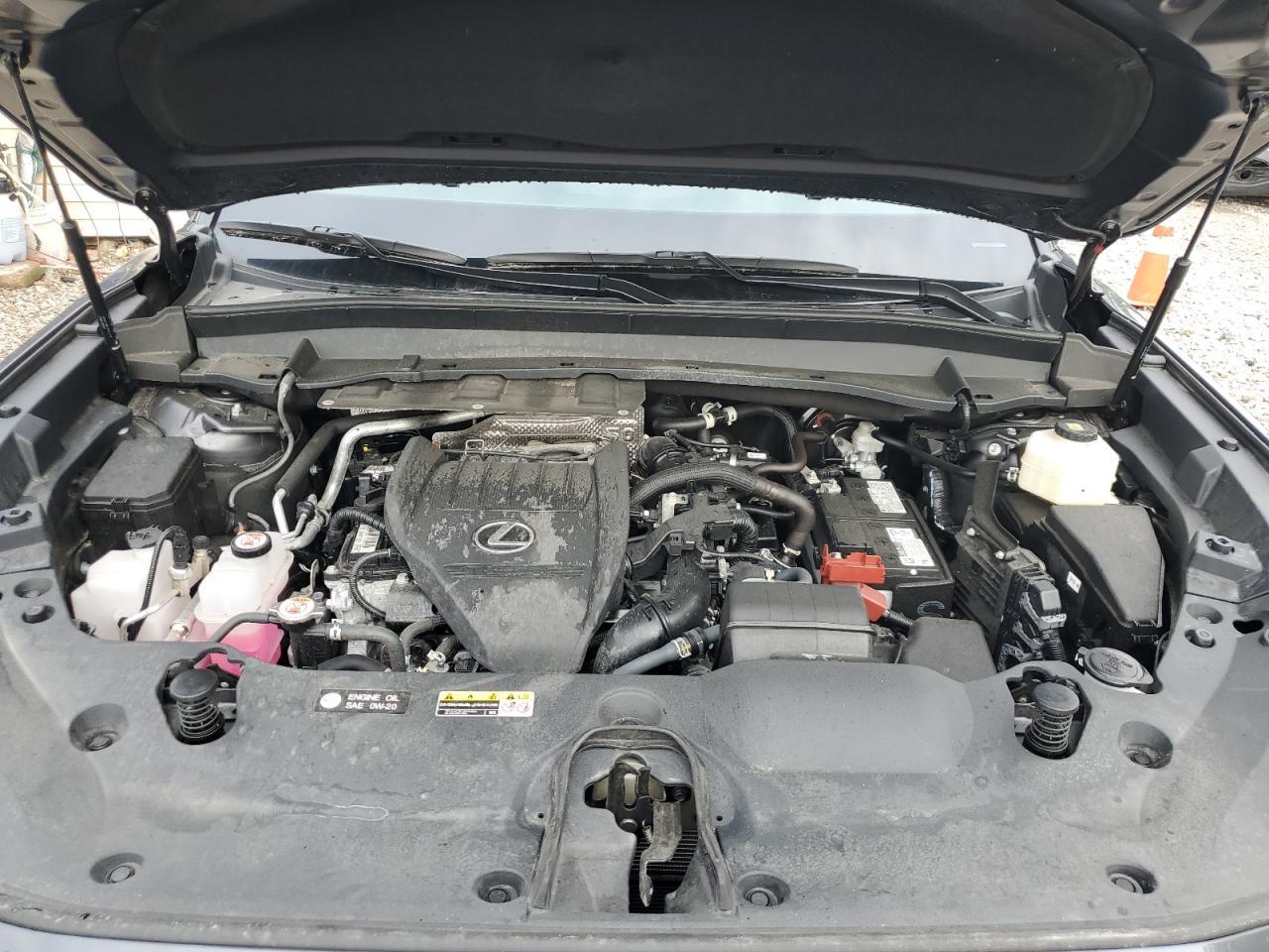 2024 LEXUS Tx