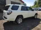 2019 TOYOTA 4Runner