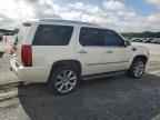 2008 CADILLAC ESCALADE