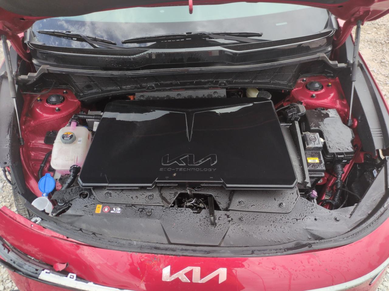 2024 KIA Niro