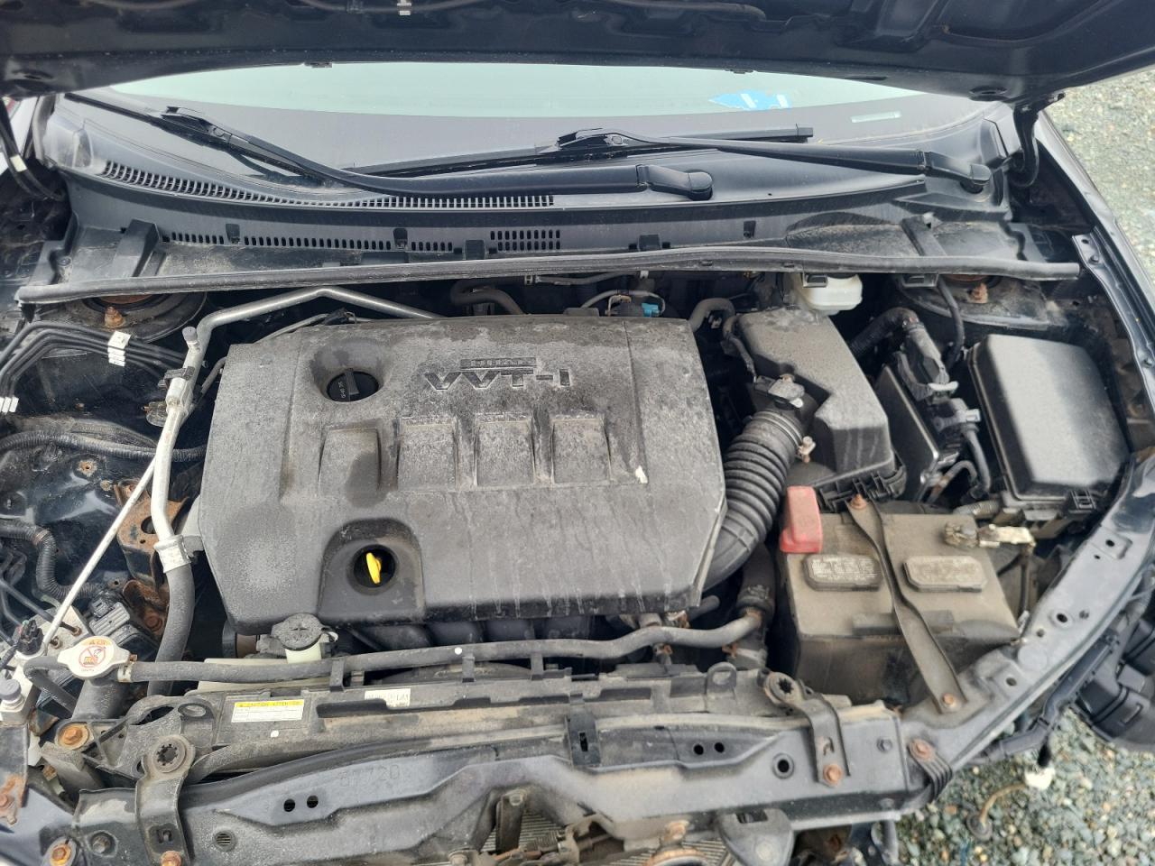 2019 TOYOTA COROLLA