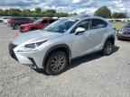 2019 LEXUS Nx