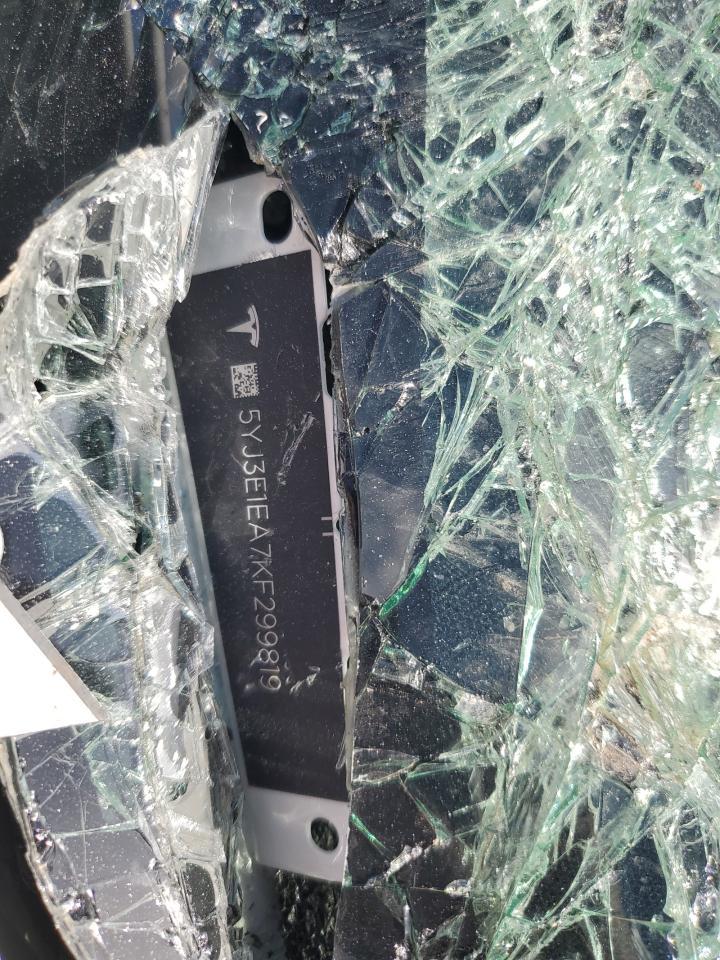 2019 TESLA MODEL 3