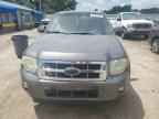 2010 FORD ESCAPE