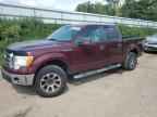 2009 FORD F-150