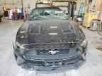 2023 FORD MUSTANG