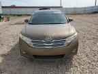 2009 TOYOTA VENZA