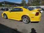 1999 FORD MUSTANG