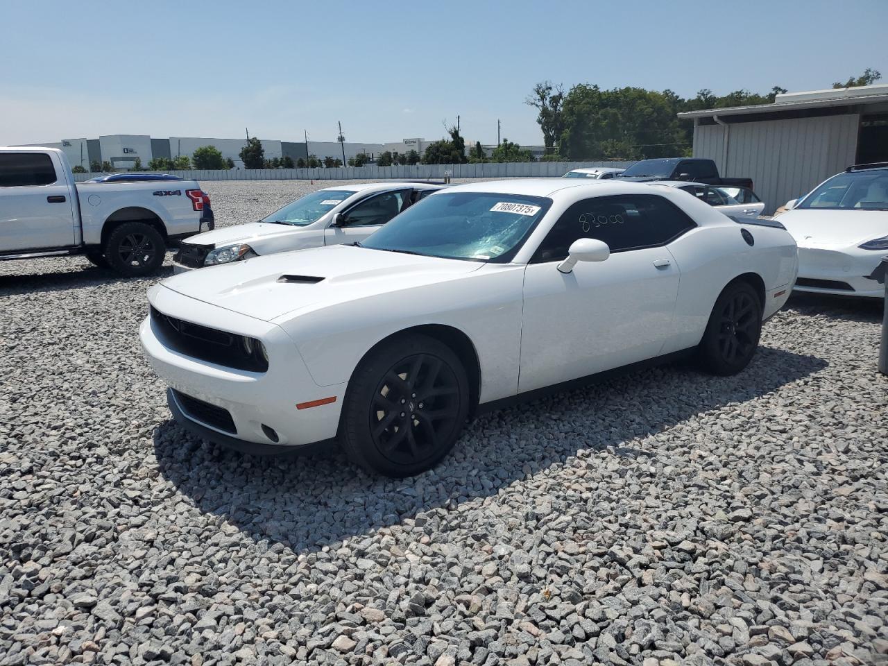 2020 DODGE Challenger