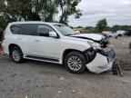 2017 LEXUS Gx
