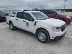 2024 FORD Maverick