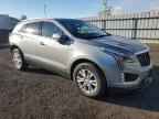 2024 CADILLAC XT5