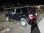 2009 FORD ESCAPE