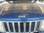 2010 JEEP Liberty