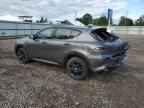 2024 DODGE Hornet