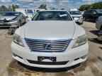 2010 LEXUS LS 460