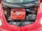 2000 VOLKSWAGEN Beetle