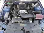 2009 FORD MUSTANG