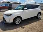 2025 KIA SOUL