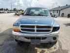 2003 DODGE Dakota