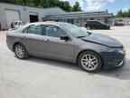 2010 FORD FUSION