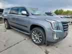 2020 CADILLAC ESCALADE